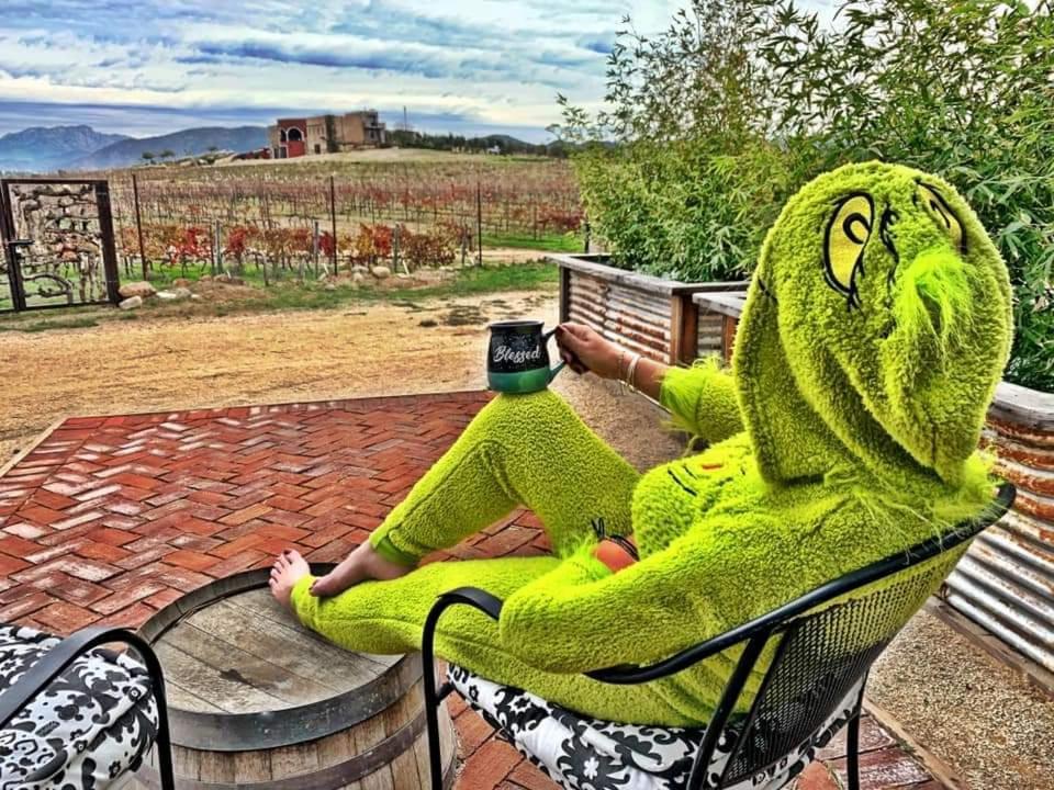 Finca Vidandrei CASA MAZAHUA Valle de Guadalupe Eksteriør bilde