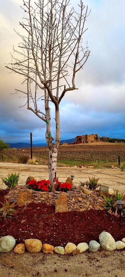 Finca Vidandrei CASA MAZAHUA Valle de Guadalupe Eksteriør bilde