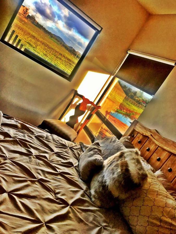 Finca Vidandrei CASA MAZAHUA Valle de Guadalupe Eksteriør bilde
